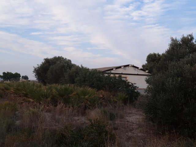 PARCELA RÚSTICA CON EDIFICACIÓN EN ALHAMA DE MURCIA