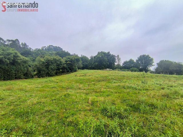 Parcela rústica con posibilidad de vivienda unifamiliar en Villabáñez Castañeda