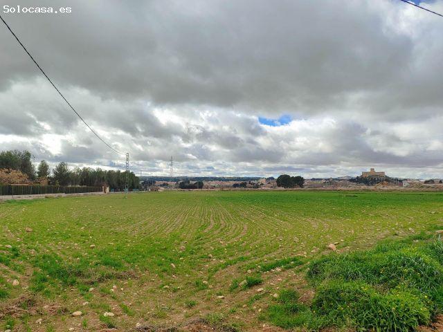 PARCELA RÚSTICA A 1 KM DEL CASCO URBANO
