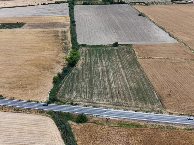 Parcela rústica agrícola de 12.500 m2 en Santa Margalida