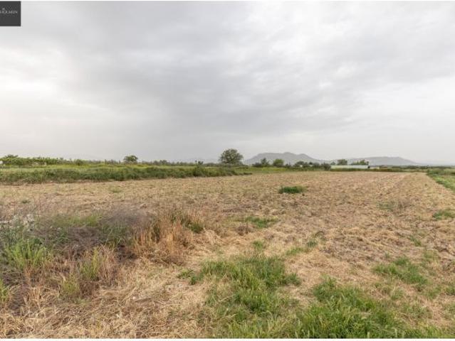 PARCELA RÚSTICA DE 3.500 M2 EN SANTA FE