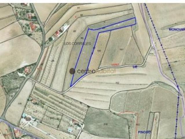 Parcela rústica de 10643 m² muy cercana a la pedanía de Ubeda Pinoso Alicante