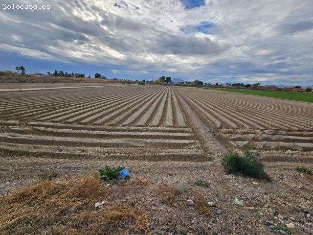 parcela rústica de 13.000 m2 en Dolores