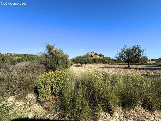 Parcela rústica de 25.566 m2 en El Moralet, Alicante