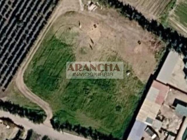 Parcela rústica de 5.000 m2 en venta, Chipiona