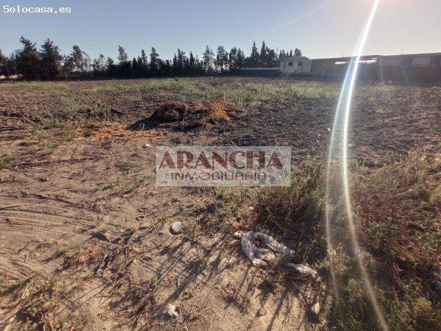 Parcela rústica de 5.000 m2 en venta, Chipiona