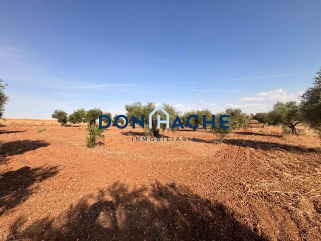Parcela rústica de 8.000 m² en venta en la Carretera de Valverde de Mérida