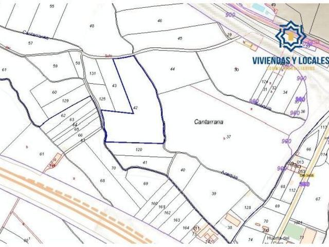 Parcela rústica de cultivo en Atarfe – Vega de Granada 22.000 m2
