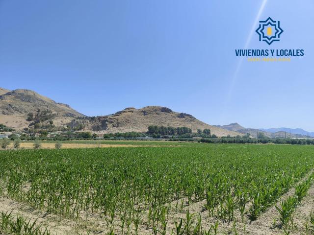Parcela rústica de cultivo en Atarfe – Vega de Granada 22.000 m2