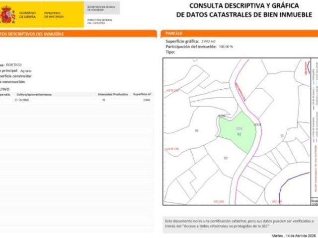 Parcela rústica de olivos con comunidad de regantes