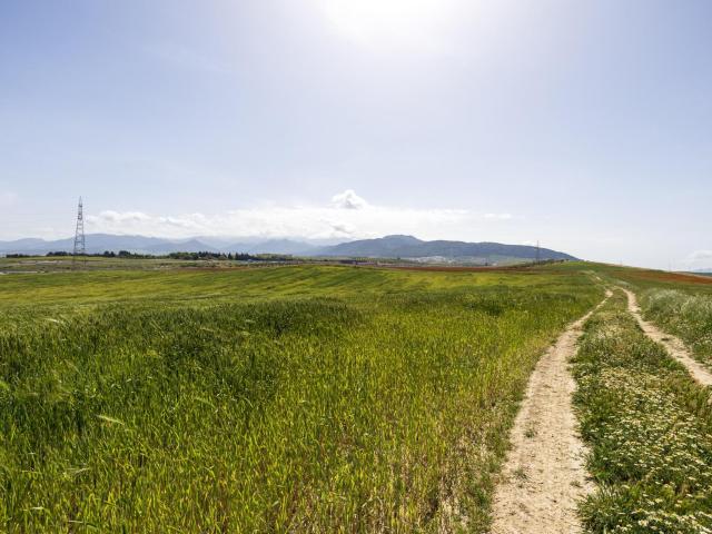 PARCELA RÚSTICA DE SECANO. OTURA