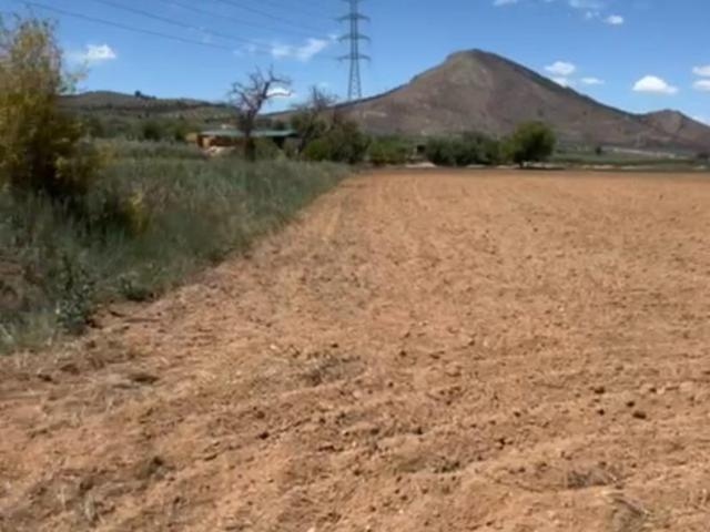 PARCELA RUSTICA EN ALBOLOTE CON POSIBILIDAD DE SEGREGAR EN DOS