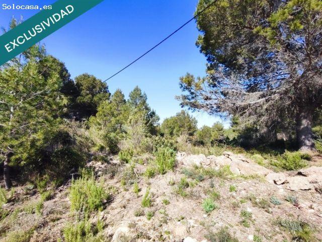 parcela rustica en Alfara de la baronia