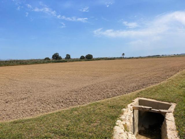 PARCELA RÚSTICA EN DOLORES – MÁS DE 35.000 M2 DE REGADÍO – INVERSIÓN PREMIUM CON GRAN PROYECCIÓN