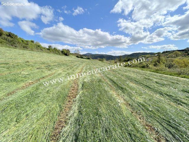 Parcela rustica en Estella