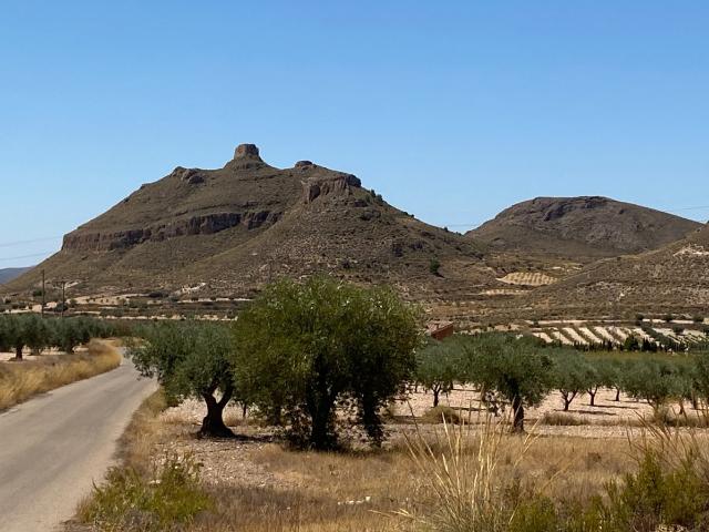 Parcela rústica en Jimena, Jumilla