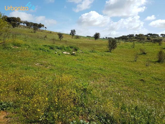 PARCELA RUSTICA EN LA URBANIZACION LAS ROZAS DE 1250MTRS MUY CERCA DE BADAJOZ