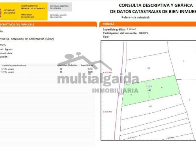 PARCELA RÚSTICA EN LA ZONA DE RANCHO PEREGIL