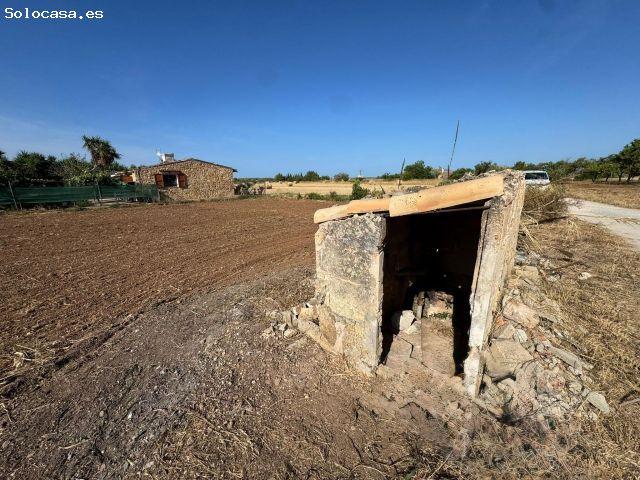 Parcela rústica en Son Serra Muro con pozo propio