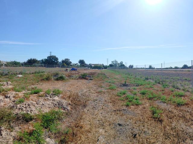 PARCELA RÚSTICA EN SAN FULGENCIO – LO PEDREÑO