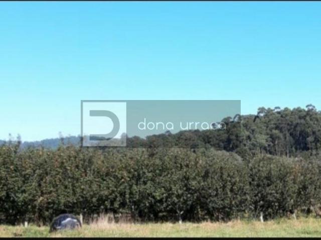 PARCELA RUSTICA EN VENTA