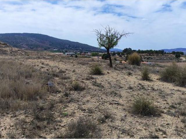 Parcela rústica en venta a 800m de Pinoso Crevillente