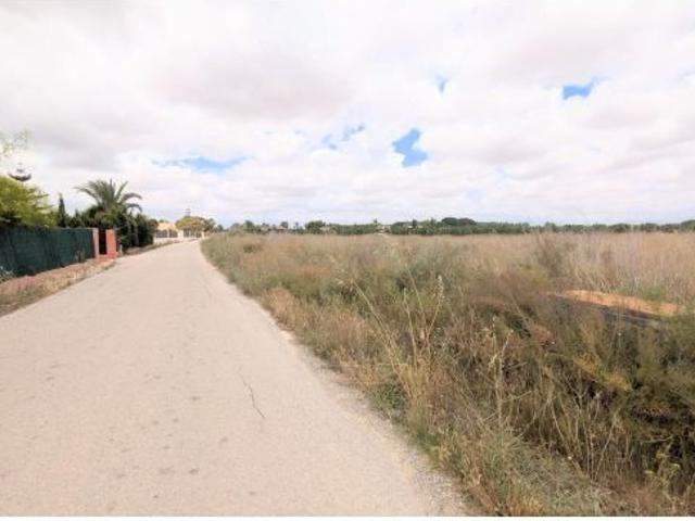 ¡PARCELA RÚSTICA EN VENTA EN BAYA BAJA, ELCHE, 5.718 m2, CON ACCESO ASFALTADO Y RIEGO POR GOTEO!
