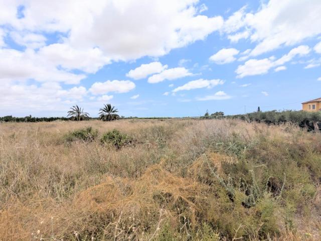 ¡PARCELA RÚSTICA EN VENTA EN BAYA BAJA, ELCHE, 5.718 m2, CON ACCESO ASFALTADO Y RIEGO POR GOTEO!