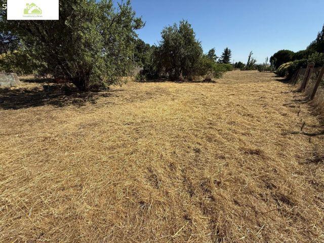PARCELA RÚSTICA EN VENTA EN MORALES DEL VINO