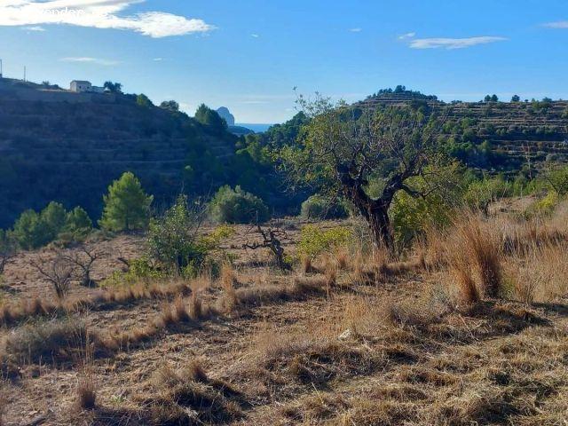?Parcela rústica libre de construcción en Benissa, Costa Blanca