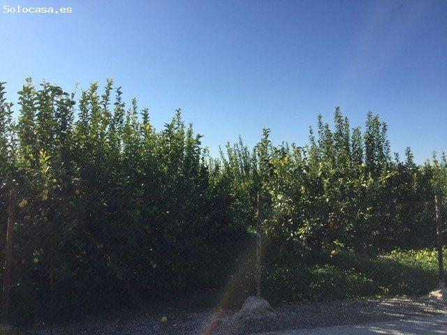 PARCELA RUSTICA VALLADA DE 2236 m2 EN LLANO DE BRUJAS