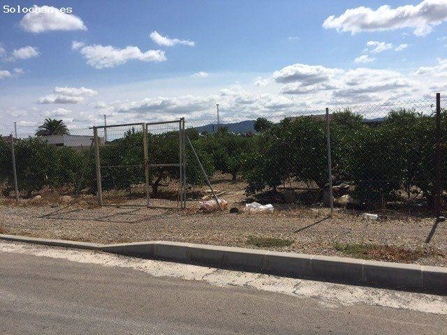 PARCELA RÚSTICA VALLADA EN MONTEAGUDO