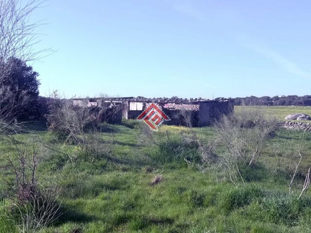 Parcela Rústica Venta Cáceres