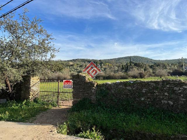 Parcela Rústica Venta Cáceres
