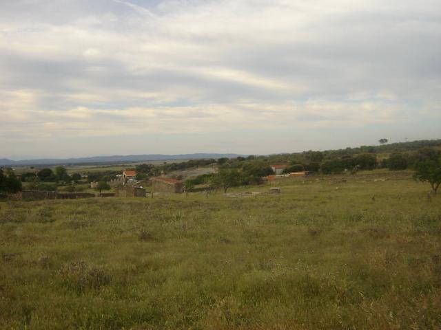 Parcela Rústica Venta Cáceres