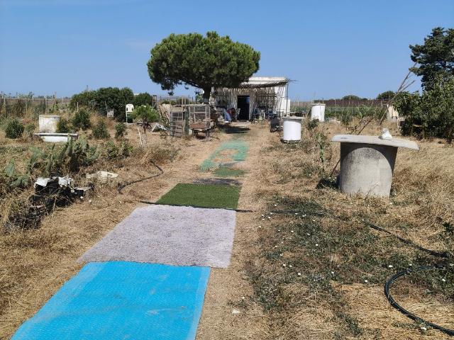 Parcela Rústica Venta Cádiz