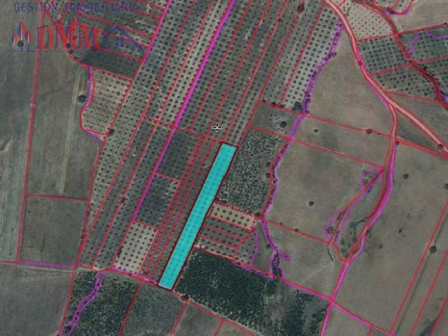 Parcela Rústica Venta Ciudad Real