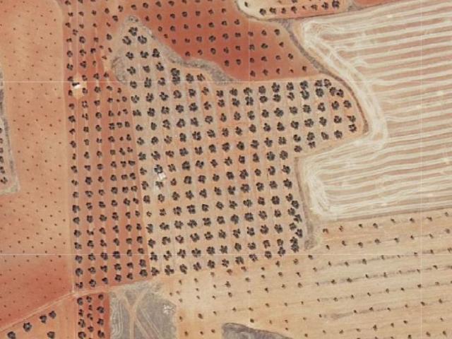 Parcela Rústica Venta Ciudad Real