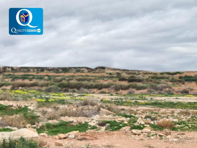 Parcela Rústica Venta Alicante