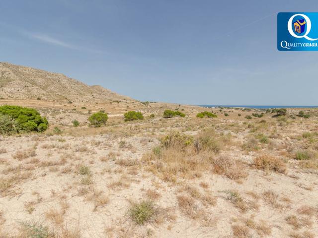 Parcela Rústica Venta Alicante