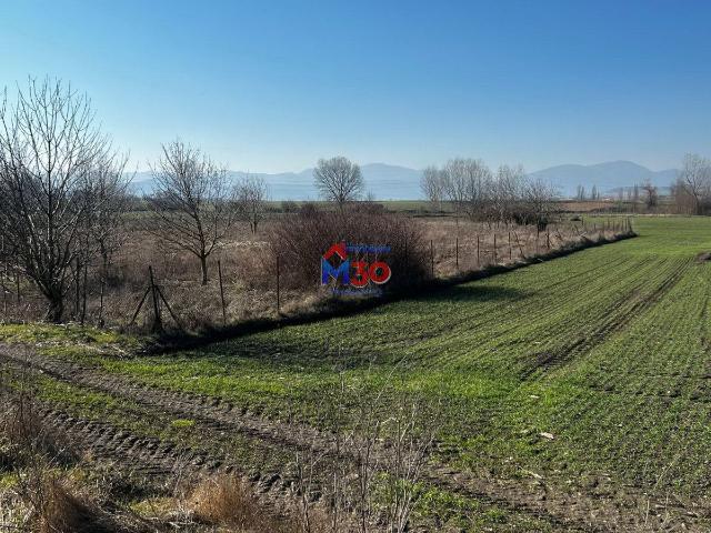 Parcela Rústica Venta Burgos