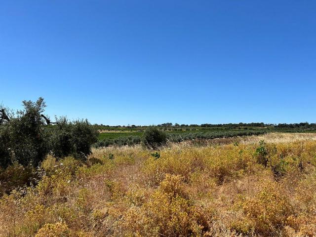 Parcela Rústica Venta Huelva
