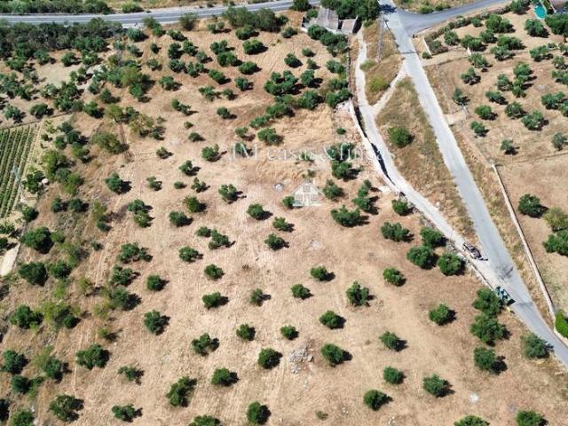 Parcela Rústica Venta Málaga
