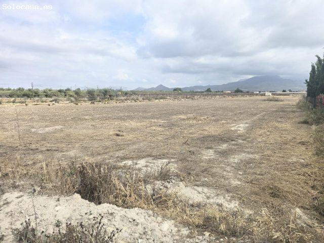 Parcela rural en Aspe