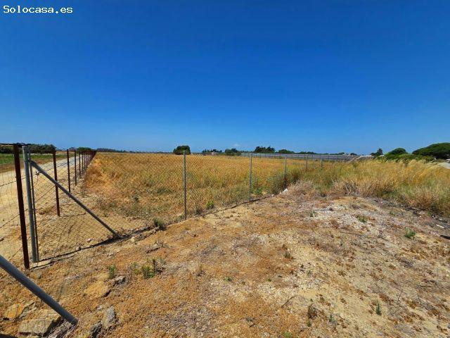 ?PARCELA SEGREGADA ASFALTADA HASTA LA PUERTA EN PAGO DEL HUMO 8.201M2 DE PARCELA?