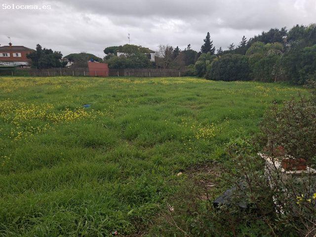Parcela segregada en venta. Camino de la Verbena