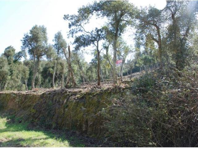 Parcela situada en Vall Repòs Santa Cristina dAro