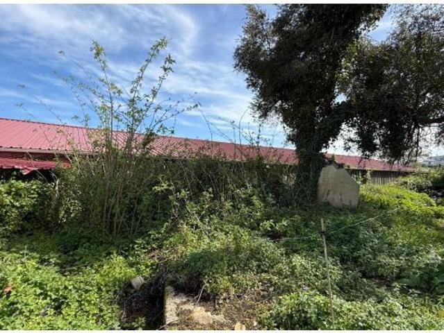 ? Parcela Única de 2.332m2 entre San Vicente y Comillas