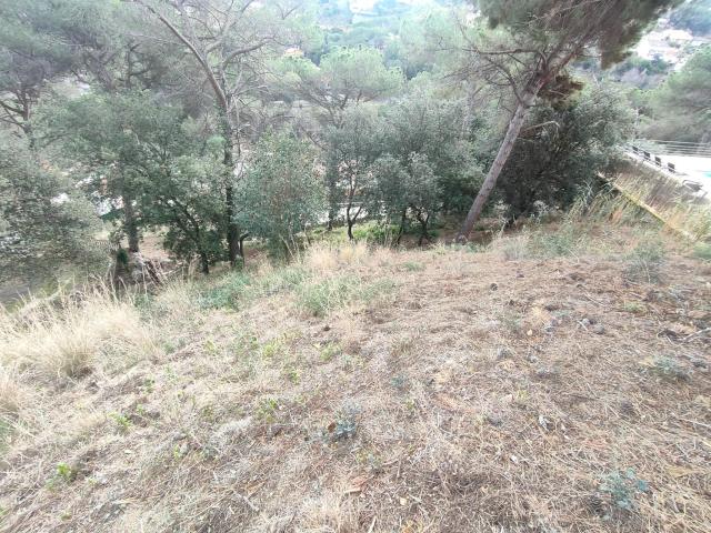 PARCELA URBANA