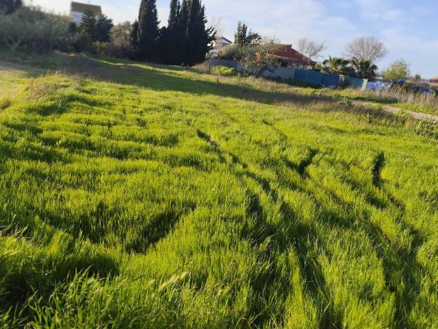 Parcela Urbana Venta Tarragona
